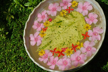 Image showing water cup with beautiful flowers background