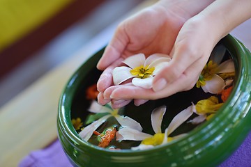 Image showing female hand and flower in water