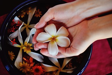 Image showing female hand and flower in water