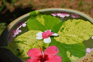 Image showing water cup with beautiful flowers background