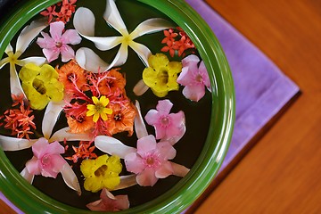 Image showing water cup with beautiful flowers background