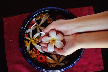 Image showing female hand and flower in water