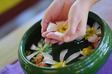 Image showing female hand and flower in water