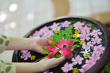 Image showing female hand and flower in water