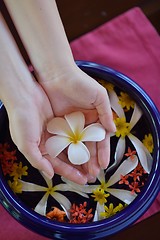 Image showing female hand and flower in water