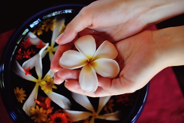 Image showing female hand and flower in water