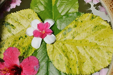 Image showing water cup with beautiful flowers background