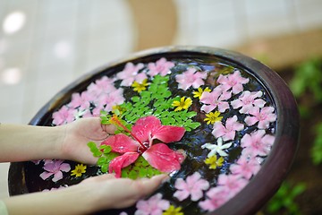 Image showing female hand and flower in water