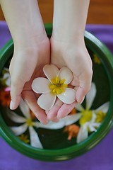 Image showing female hand and flower in water