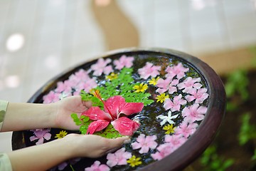 Image showing female hand and flower in water