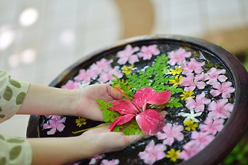 Image showing female hand and flower in water