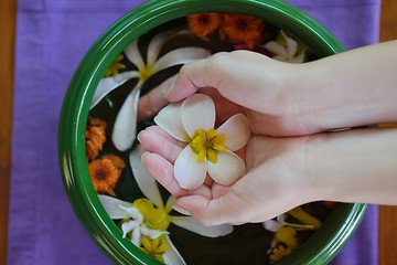 Image showing female hand and flower in water