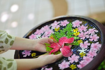 Image showing female hand and flower in water