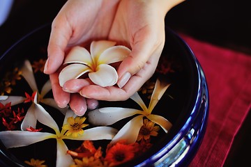 Image showing female hand and flower in water