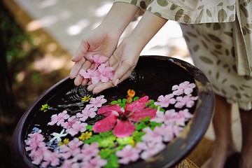 Image showing female hand and flower in water