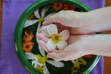 Image showing female hand and flower in water