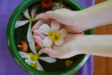 Image showing female hand and flower in water