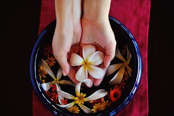 Image showing female hand and flower in water