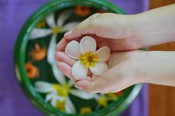 Image showing female hand and flower in water