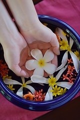 Image showing female hand and flower in water