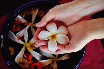 Image showing female hand and flower in water