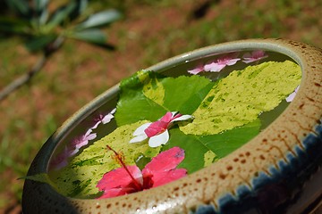 Image showing water cup with beautiful flowers background