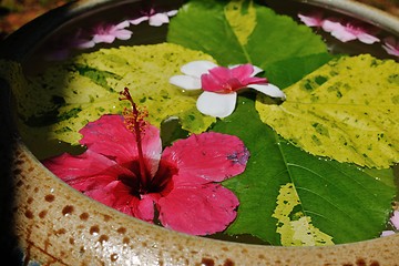 Image showing water cup with beautiful flowers background