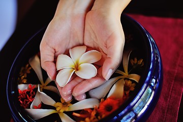 Image showing female hand and flower in water