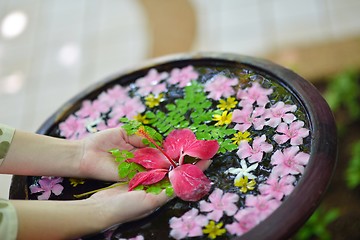 Image showing female hand and flower in water