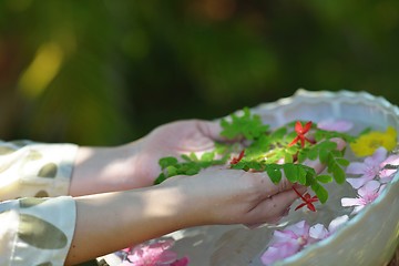 Image showing female hand and flower in water