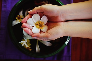 Image showing female hand and flower in water