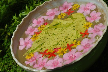 Image showing water cup with beautiful flowers background