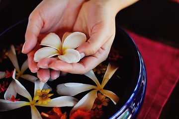 Image showing female hand and flower in water