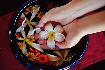 Image showing female hand and flower in water