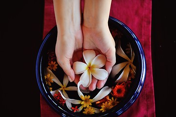 Image showing female hand and flower in water