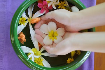 Image showing female hand and flower in water