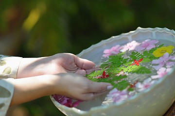 Image showing female hand and flower in water