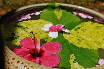 Image showing water cup with beautiful flowers background