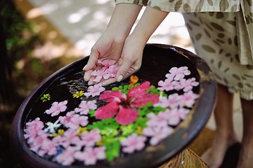 Image showing female hand and flower in water