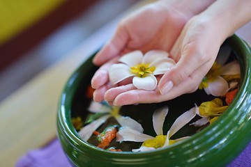 Image showing female hand and flower in water