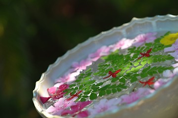Image showing water cup with beautiful flowers background