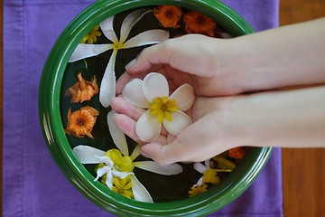 Image showing female hand and flower in water