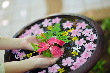 Image showing female hand and flower in water