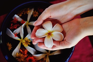 Image showing female hand and flower in water