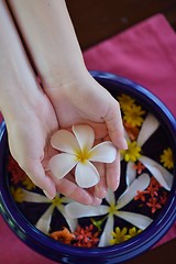 Image showing female hand and flower in water