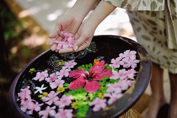 Image showing female hand and flower in water