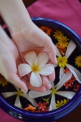 Image showing female hand and flower in water