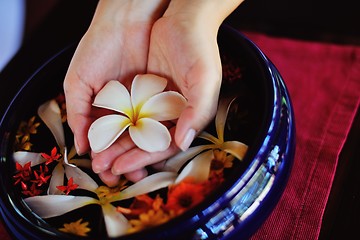 Image showing female hand and flower in water