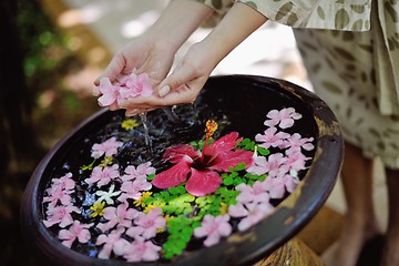 Image showing female hand and flower in water