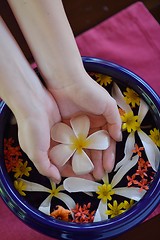 Image showing female hand and flower in water